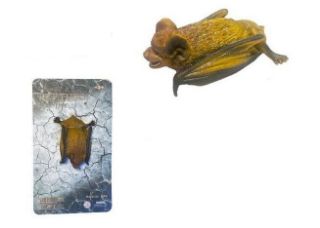 Obrázek z Netopýr gumový 12cm 